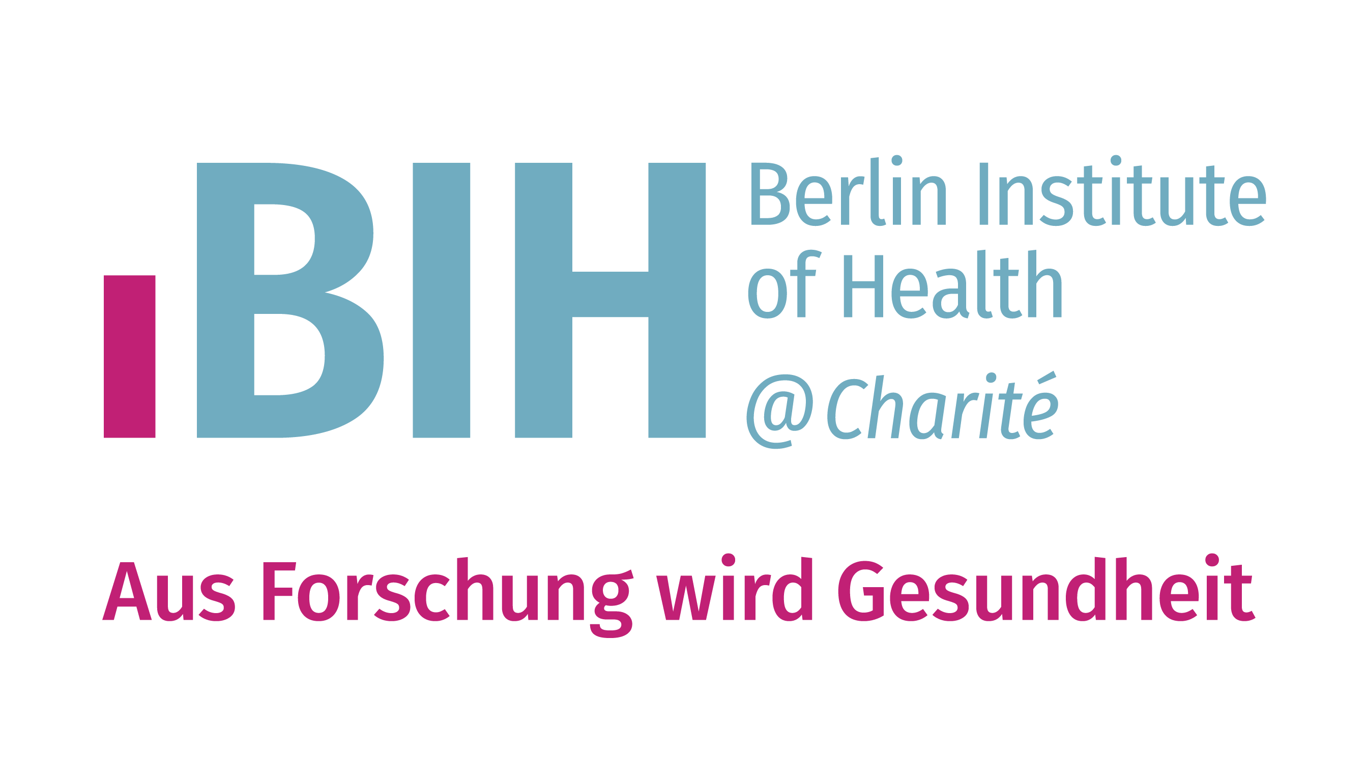 BIH Logo